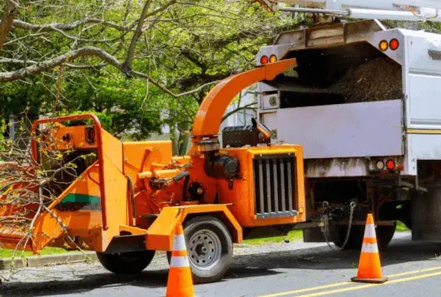 tree removal Bradley ca