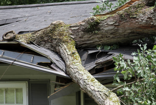 emergency tree on home